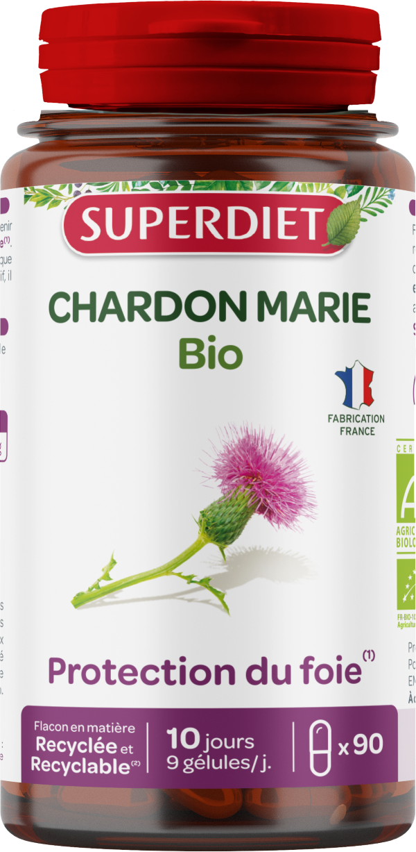 Chardon marie bio - 1